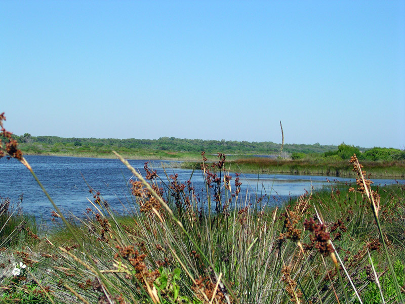 Laghi.......della PUGLIA